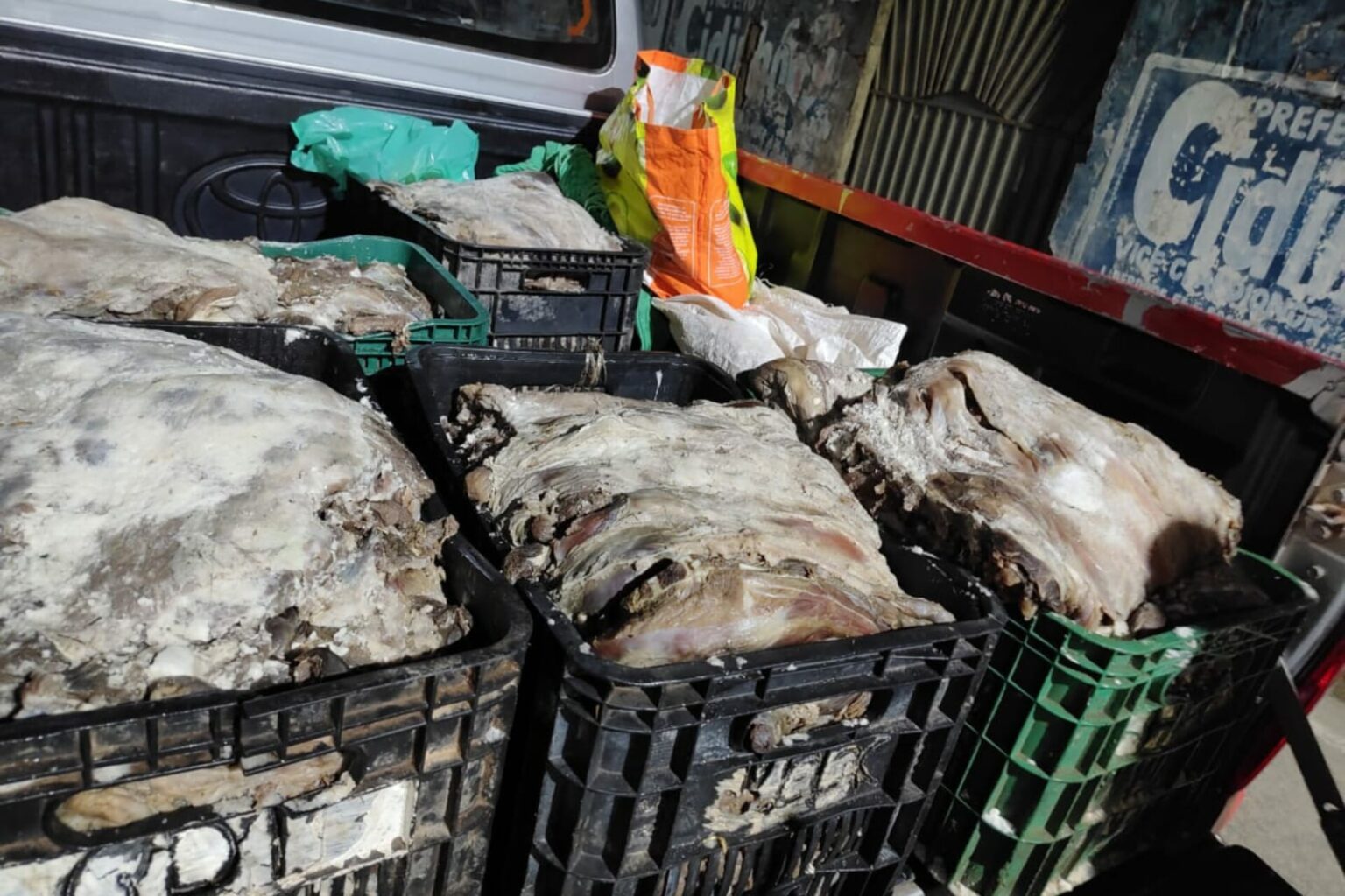PM apreende 650 kg de carne de caça ilegal no Marajó