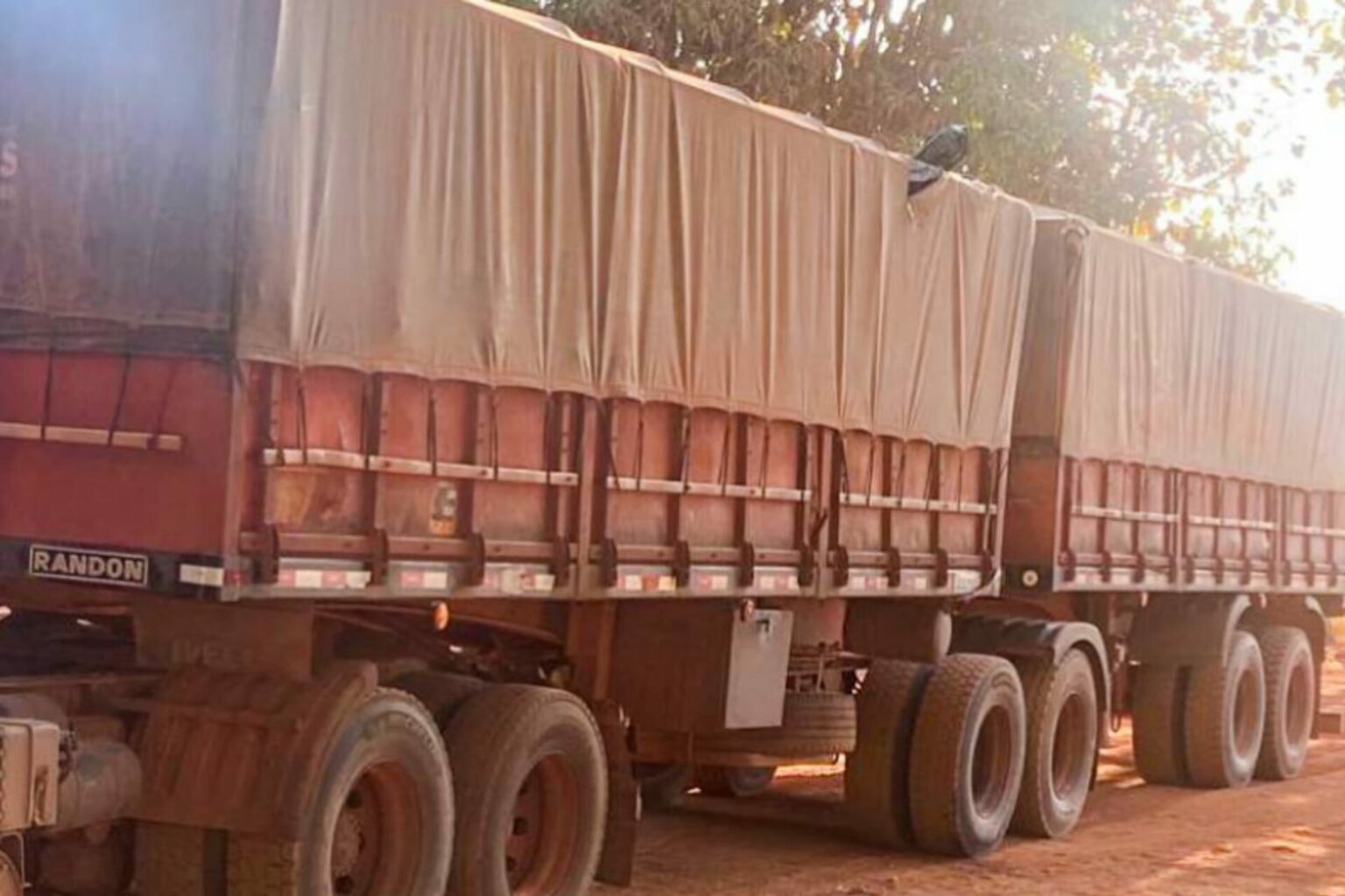 Sefa apreende 50 toneladas de gergelim em Conceição do Araguaia