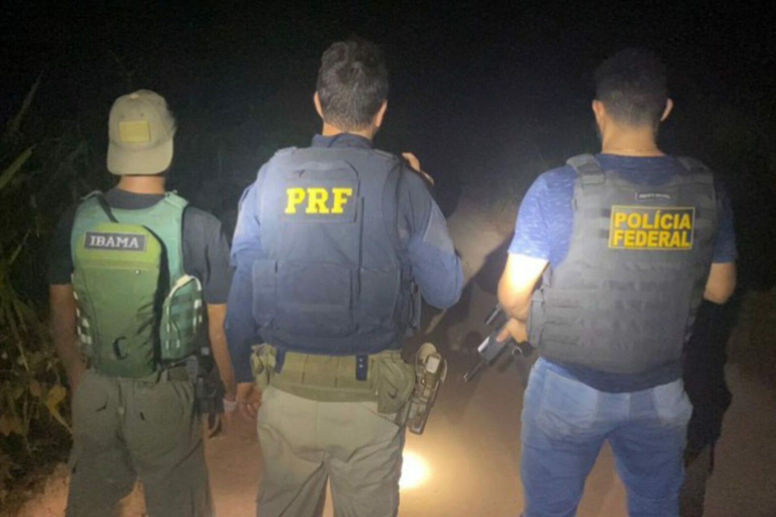 PRF, PF e IBAMA apreendem 160 m³ de madeira ilegal no Pará