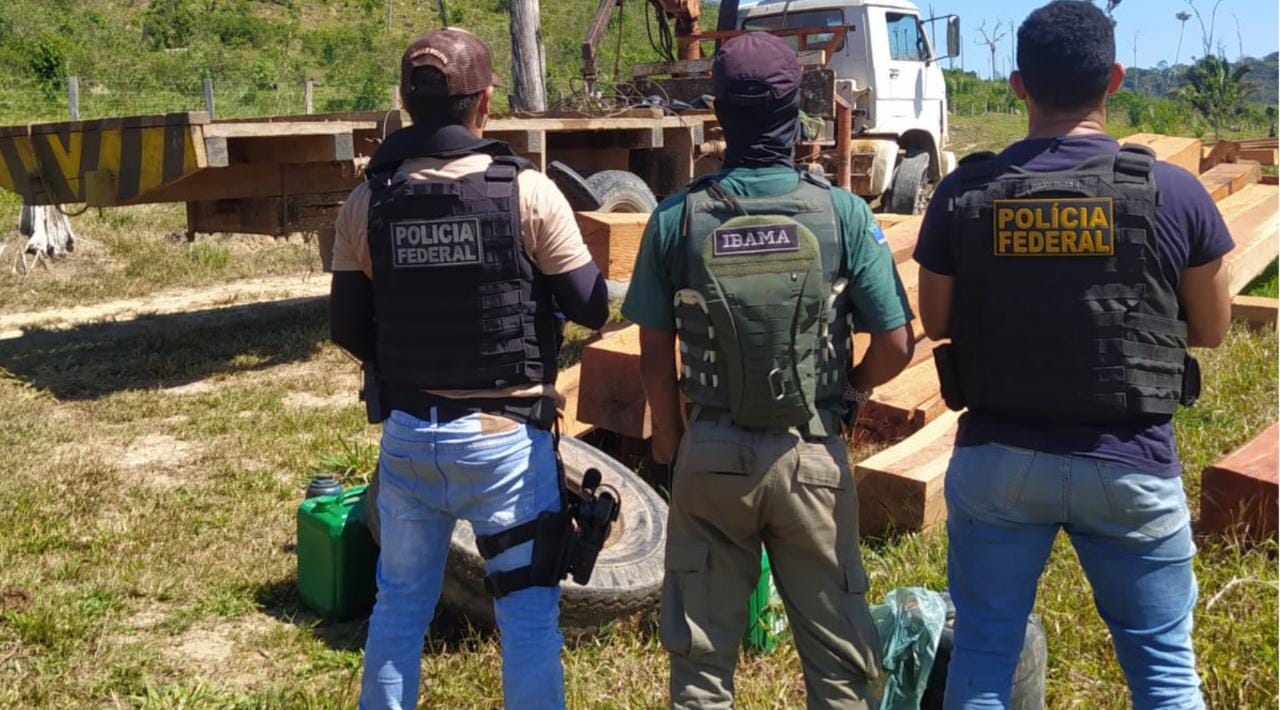 Caminhão e madeira ilegal destruídos em operação da PF no Pará