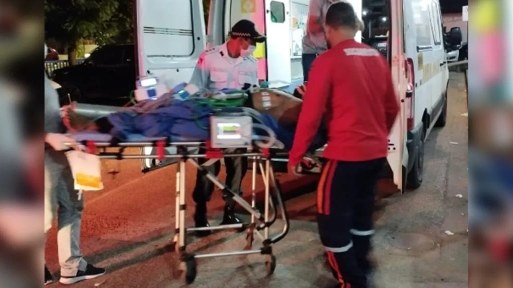 Sargento da PM vai para UTI após ser picado por aranha no Pará