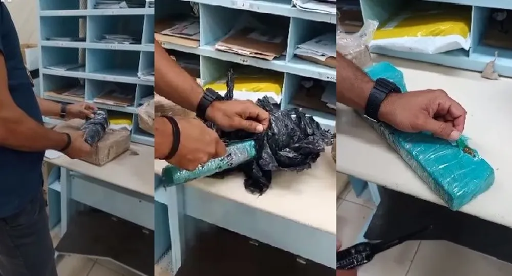 PF prende homem após cão farejar maconha em pacote dos Correios