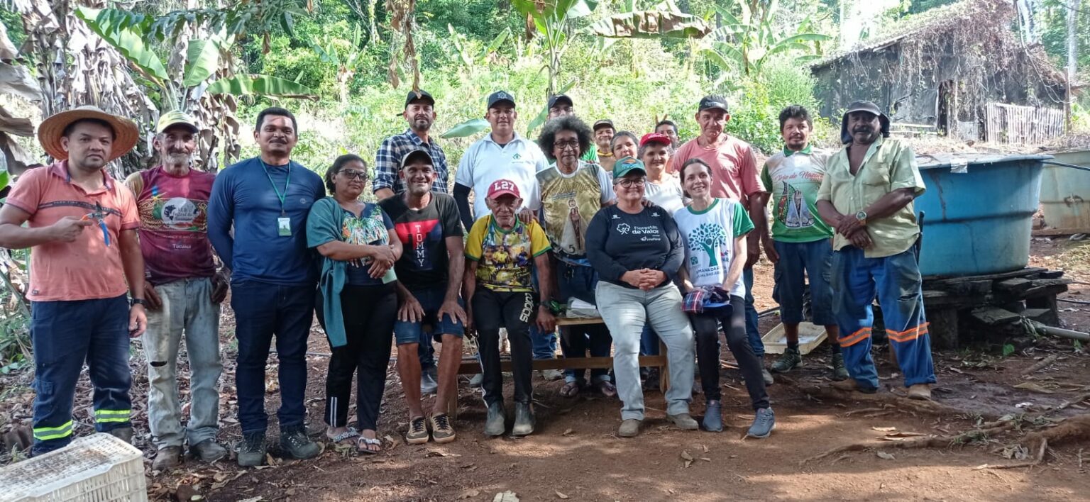 Emater realiza dia de campo sobre manejo de cacau em Tucuruí