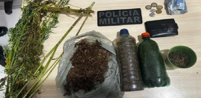 Homem é preso transportando mudas de cannabis no nordeste do Pará