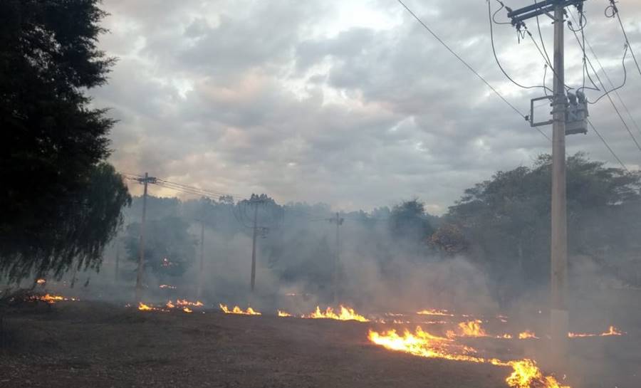 Queimadas provocam mais de 70 casos de falta de energia no sudeste do Pará
