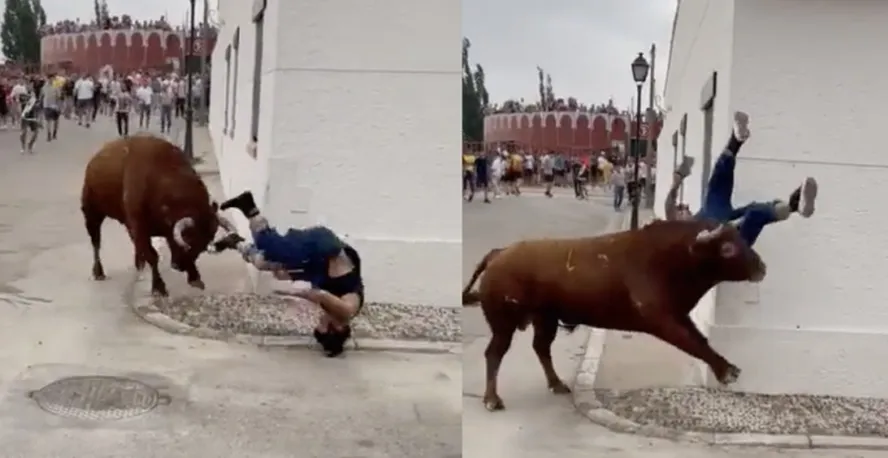 Vídeo: mulher é atacada por touro ao se distrair no celular