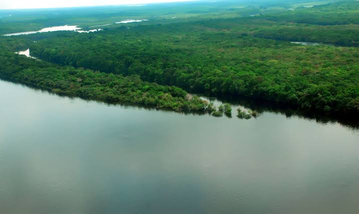 Pará e Coreia do Sul assinam acordo para investimentos de mais de R$ 1 milhão na área ambiental