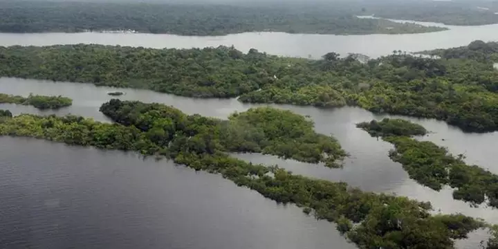 Pará responde por quase metade dos projetos geridos pelo Fundo Amazônia