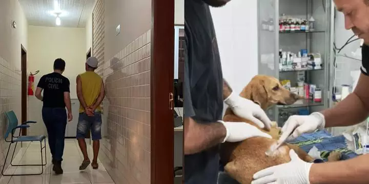 Homem é preso por atirar com arma de pressão na cadela da vizinha no Pará