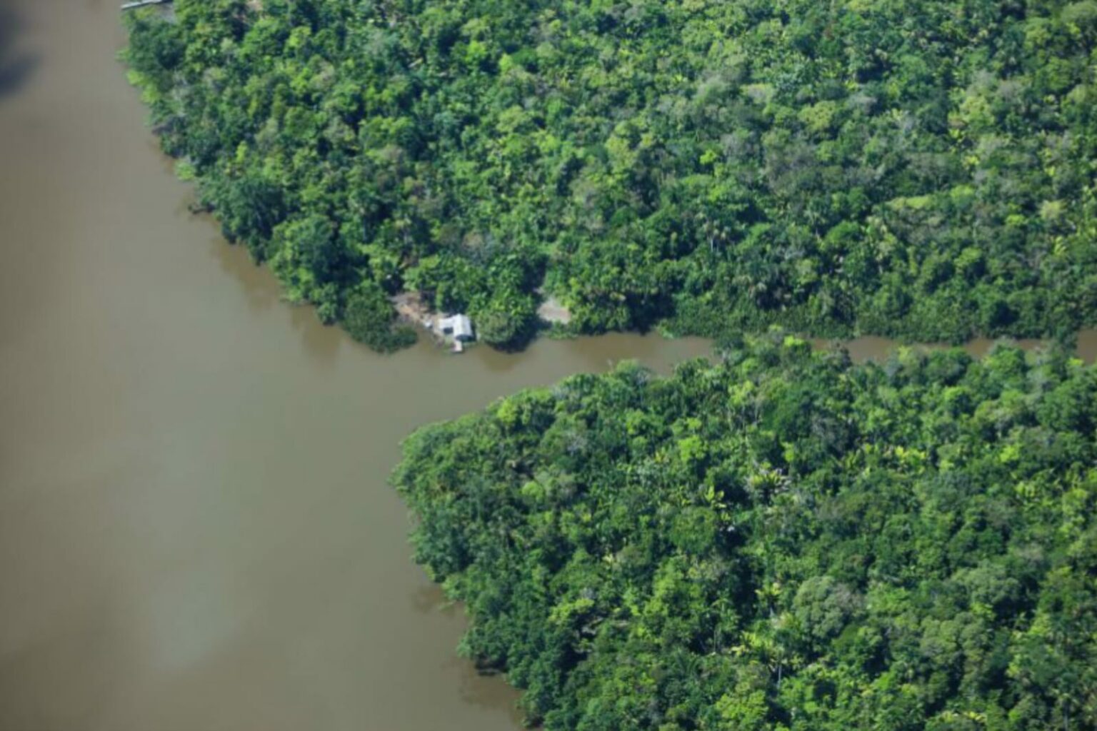 Desmatamento no Pará segue em queda e registra redução de 50%