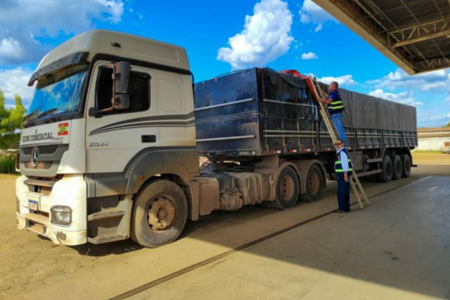 Sefa apreende 30 toneladas de gergelim em São João do Araguaia