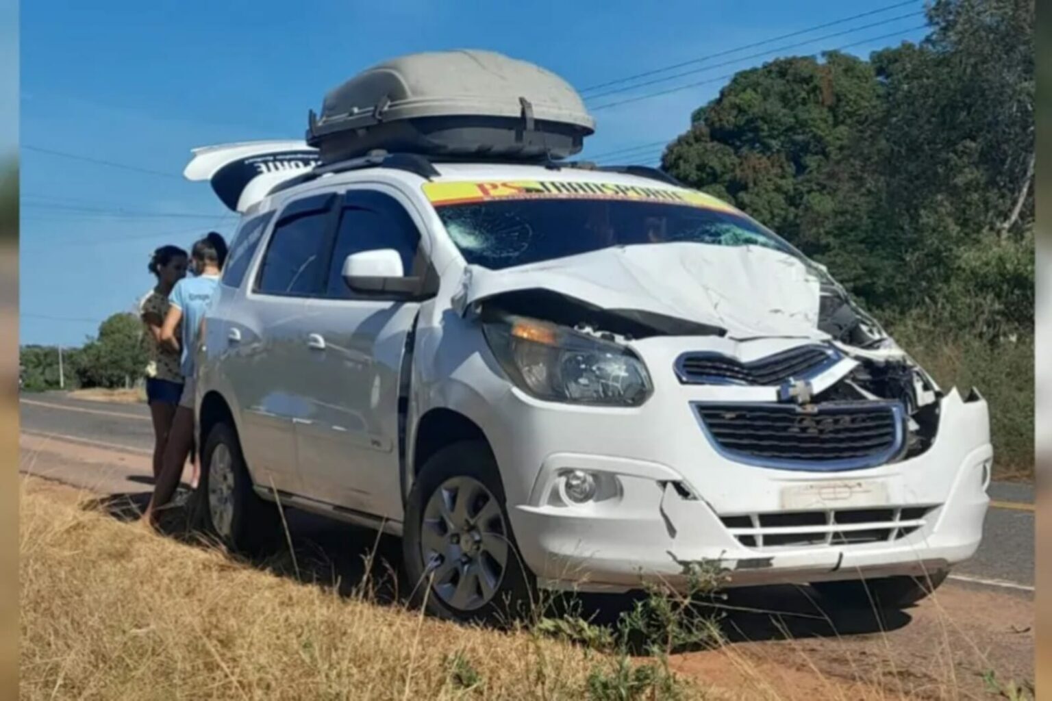 Cavalo morre atropelado por carro na PA-255