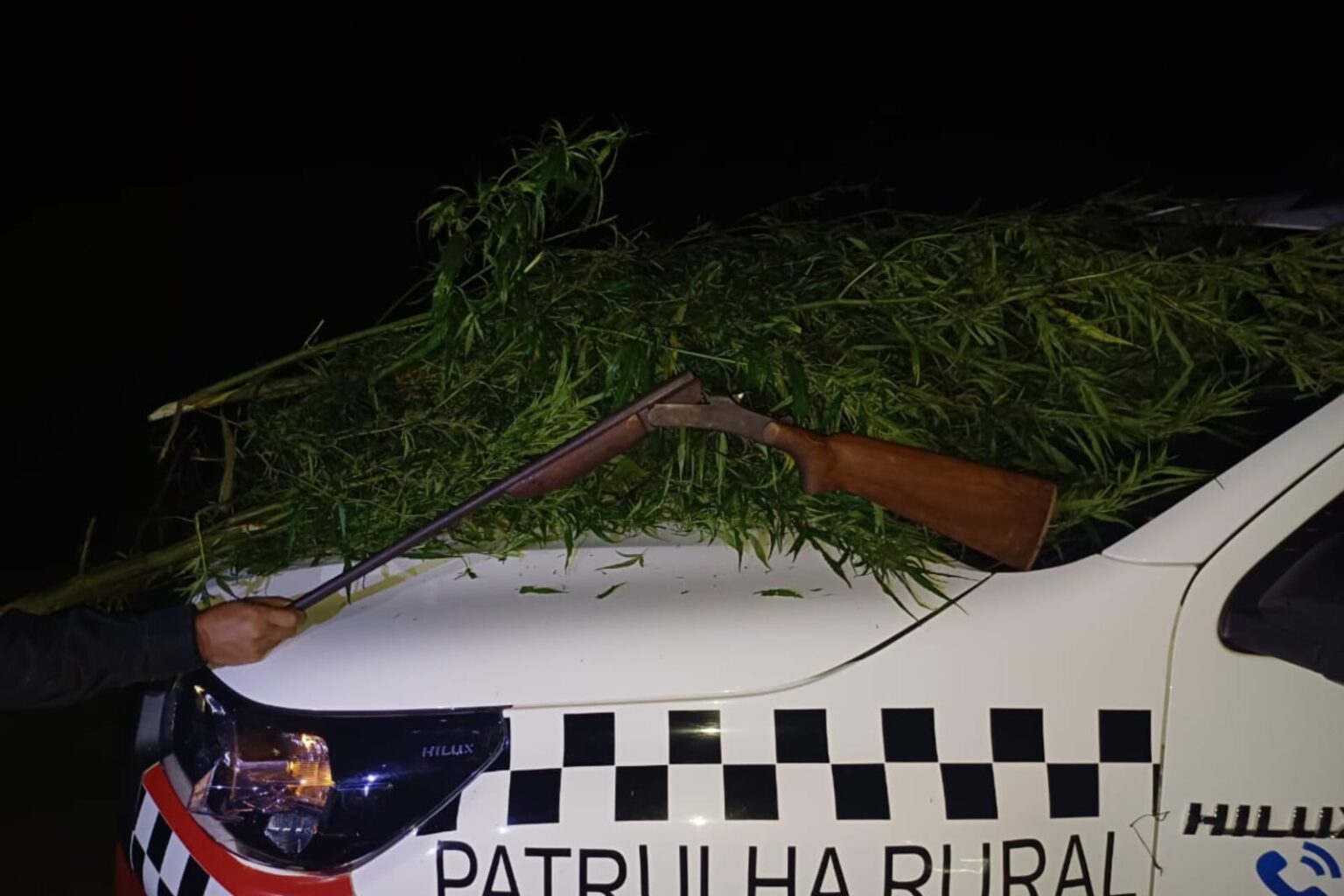 PM apreende cerca de 2 mil pés de maconha no Pará