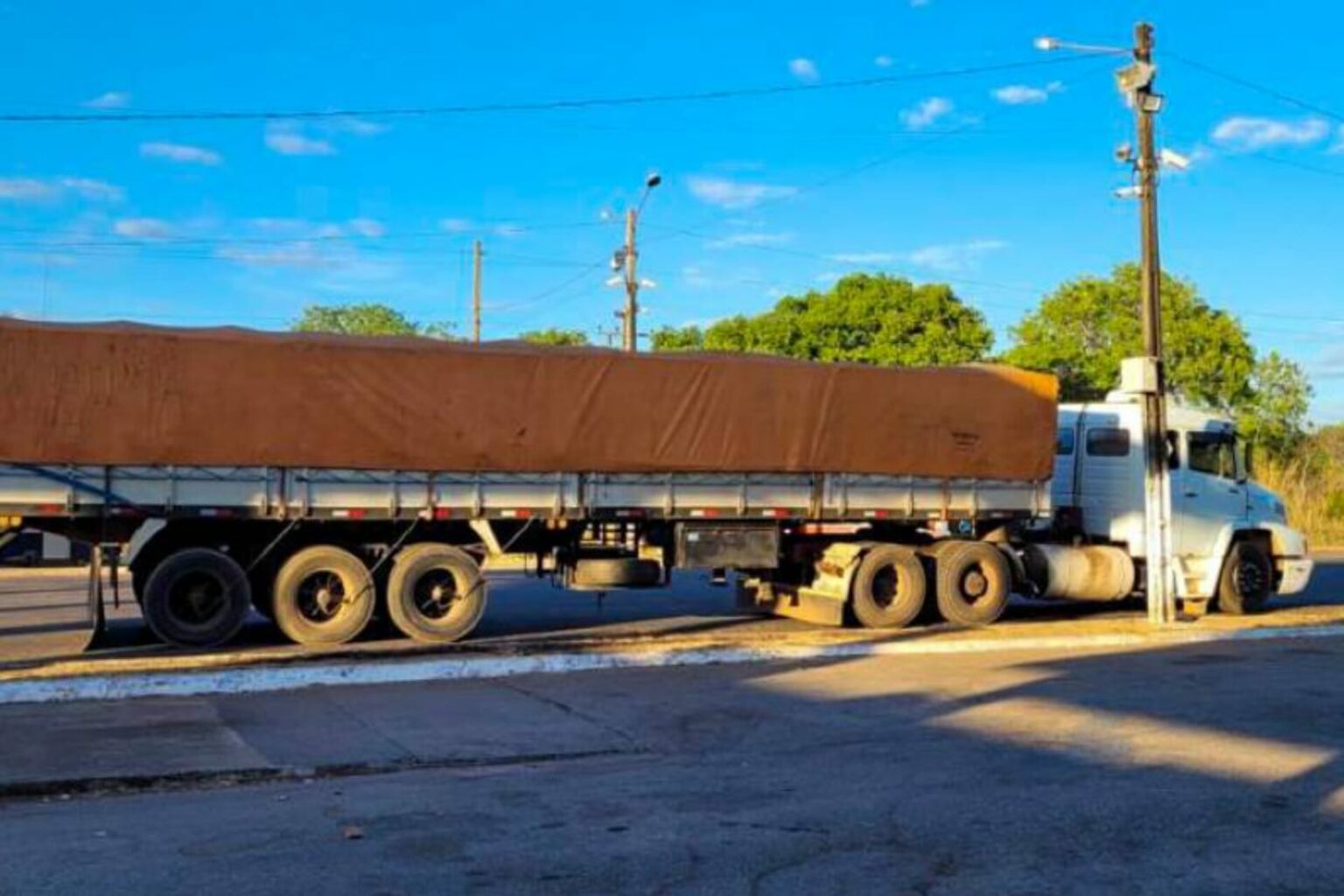 Sefa apreende 31 toneladas de gergelim em Conceição do Araguaia