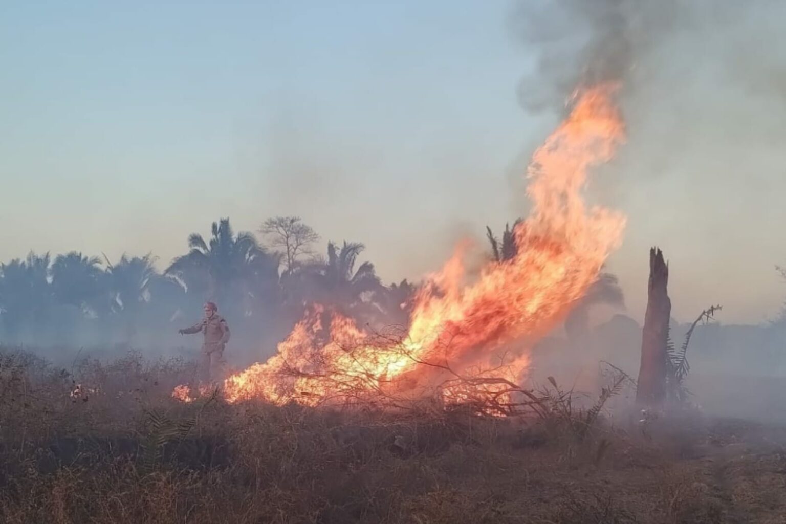 Defesa Civil combate 97 ocorrências de queimadas em Marabá