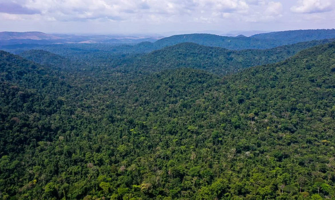 Pará cria 28ª Unidade de Conservação no Dia da Amazônia