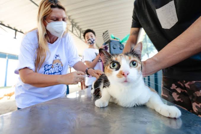 Marabá inicia campanha de vacinação antirrábica na próxima segunda-feira (25)