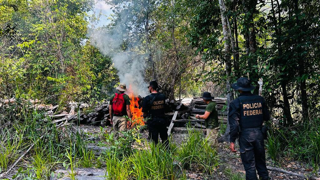 Operação entre PF, Ibama e Funai combate desmatamento em terra indígena no Pará