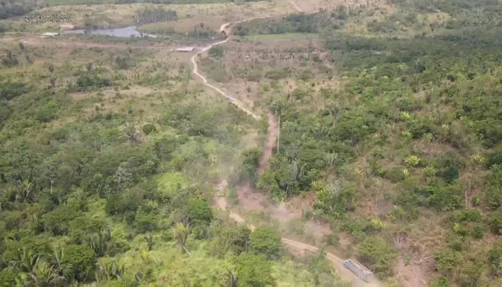 Operação apreende cerca de 2 mil cabeças de gado no sudoeste do Pará
