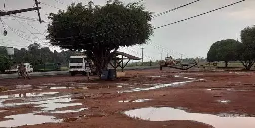 Temporal derruba árvores e postes, deixando moradores sem energia elétrica no Pará