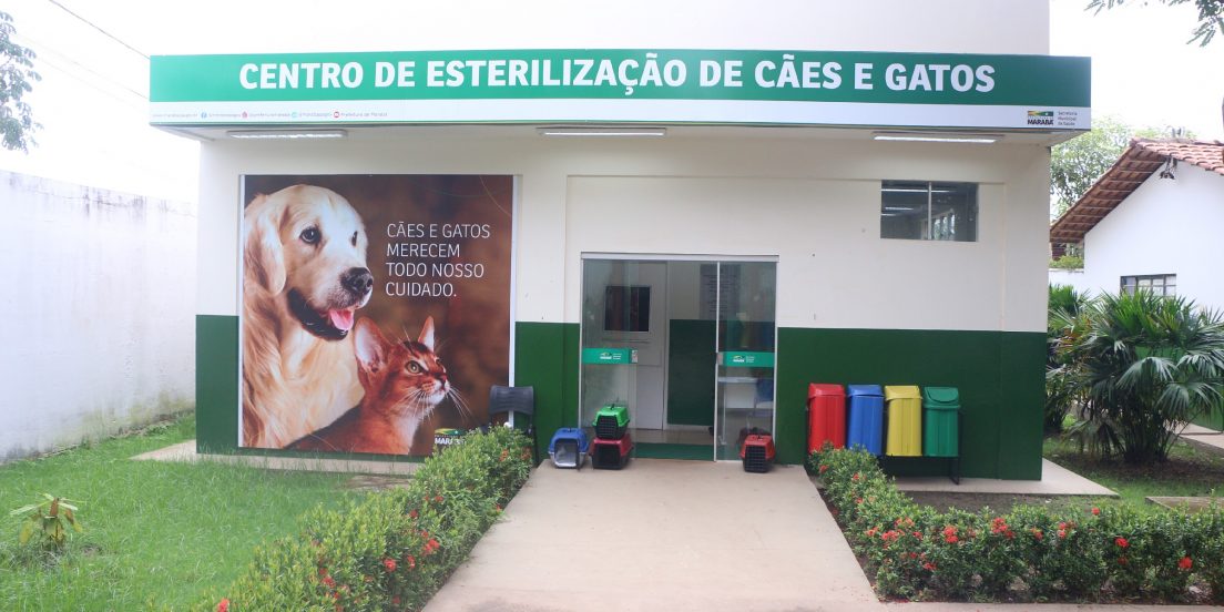 CCZ divulga agendamento para castração de cães e gatos em Marabá