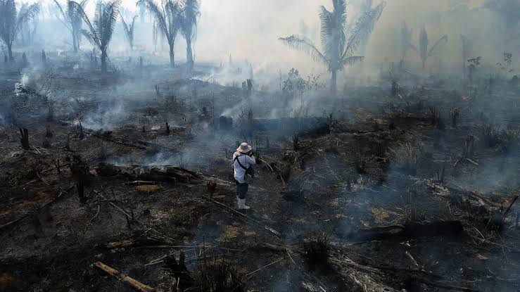Em 1 ano, imprensa da Amazônia sofreu 66 ataques, aponta relatório