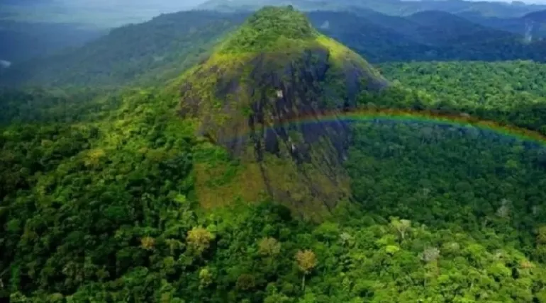 Governo do Pará criará nova unidade de conservação integral no Dia da Amazônia