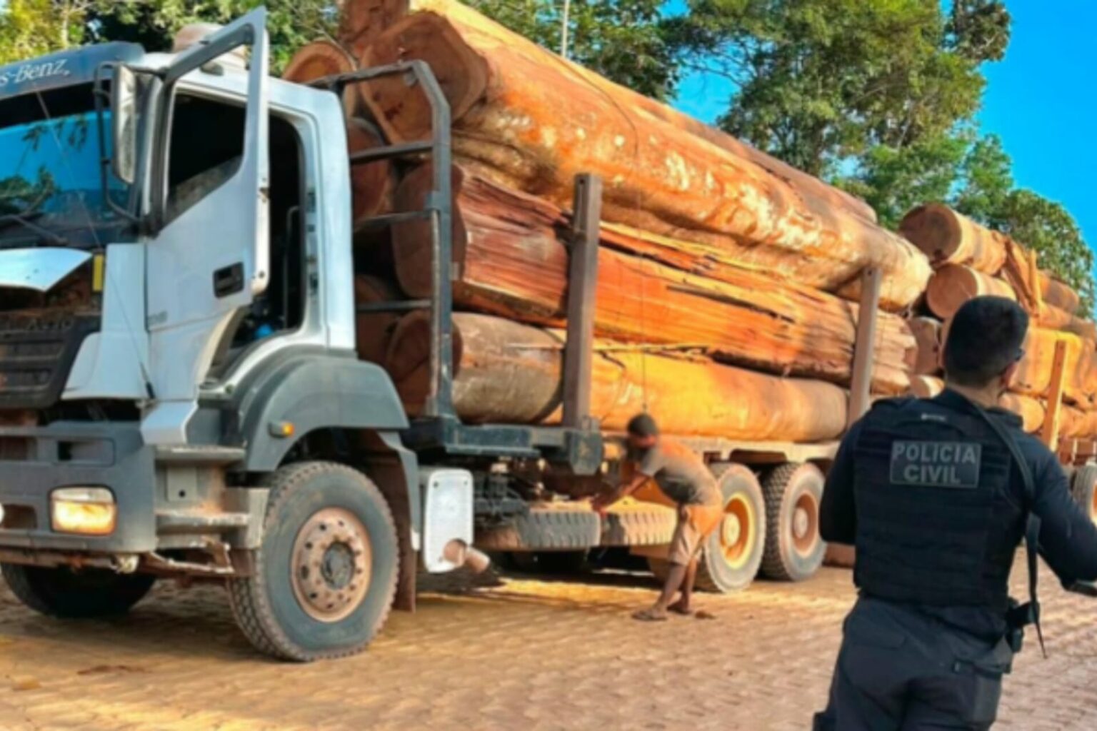 PC prende três homens por extração ilegal de madeira em Uruará