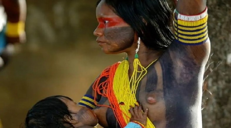 Projeto do Pará leva a gastronomia da Amazônia para evento na França