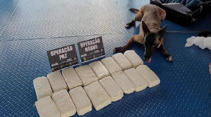 Mulher do Pará é detida no AP com 16 kg de drogas em mala