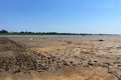 MPF recomenda estudo sobre seca em reserva extrativista no oeste do Pará