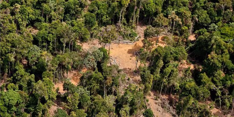 55 municípios do Pará sentem impactos da seca