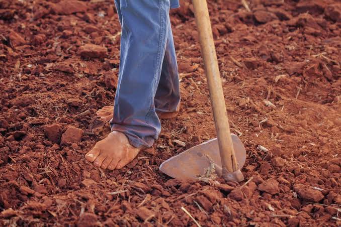 Brasil teve 466 mortes de menores no trabalho de 2011 a 2020