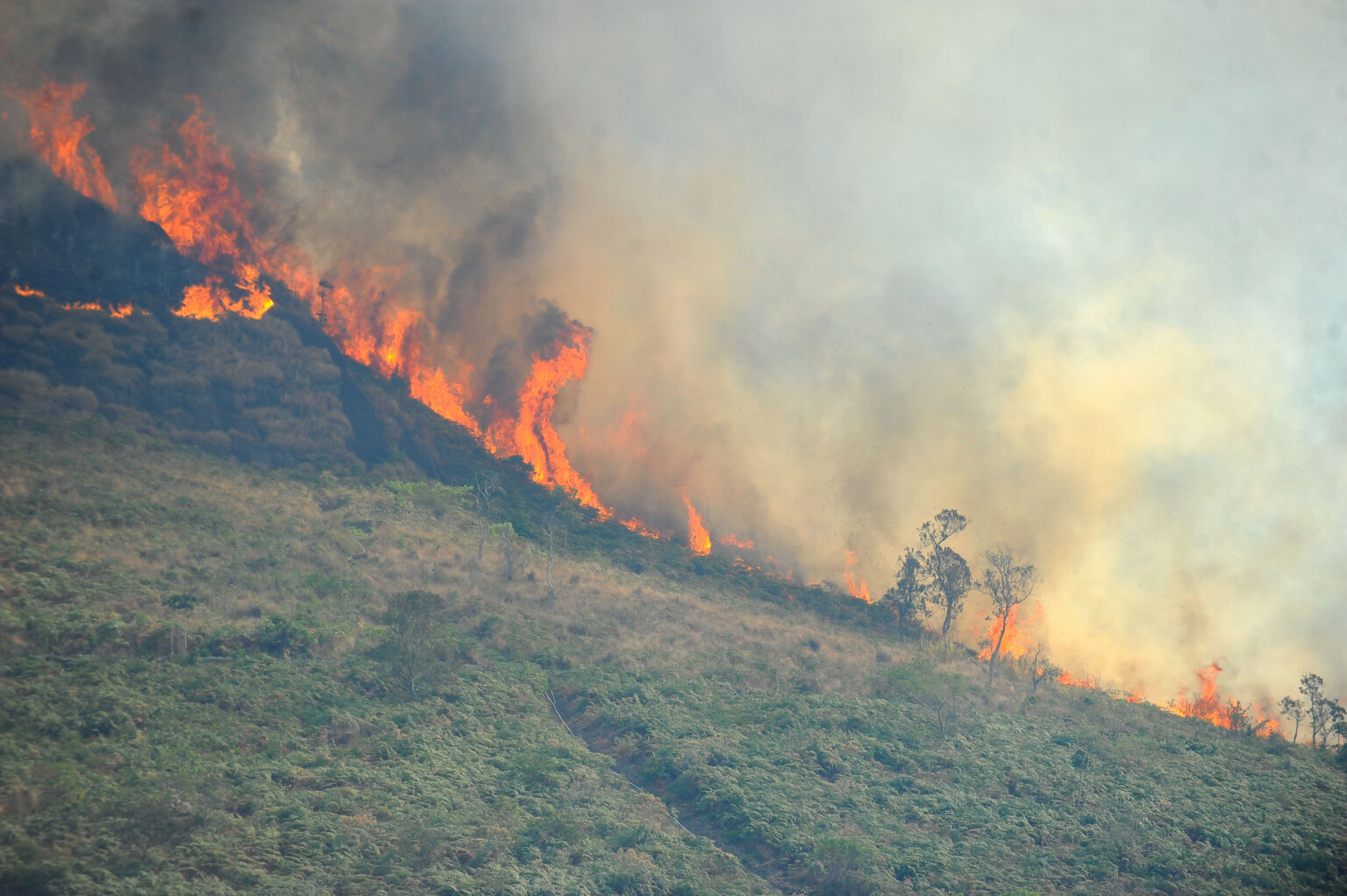 Em 9 meses, Pará teve mais de 4.800 incêndios registrados