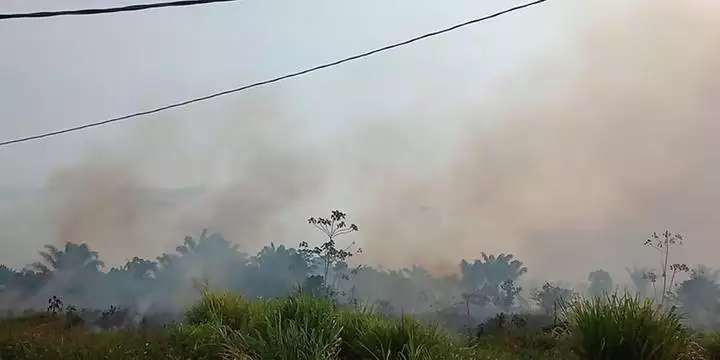 Incêndio de grandes proporções é registrado no sudoeste do Pará