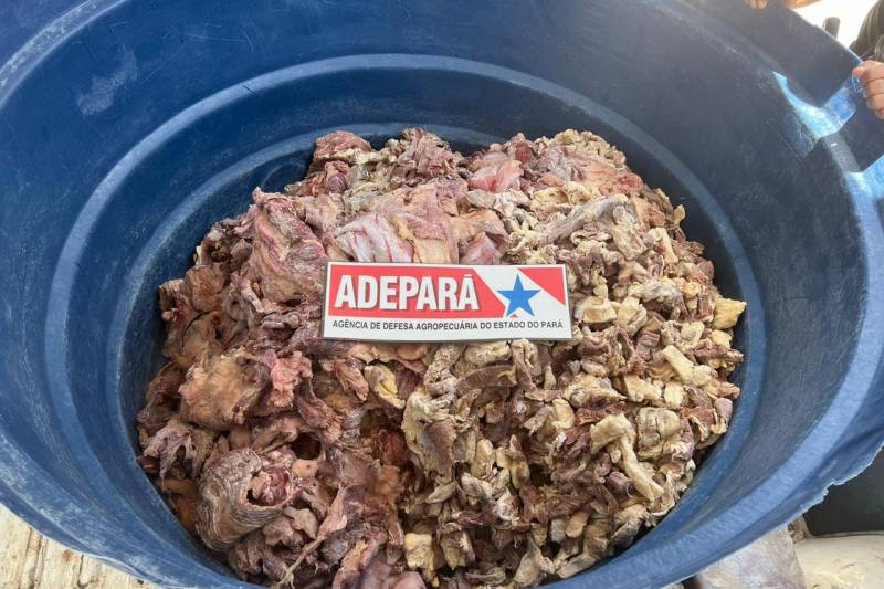 Adepará e PC interditam fábrica clandestina e apreendem uma tonelada de charque