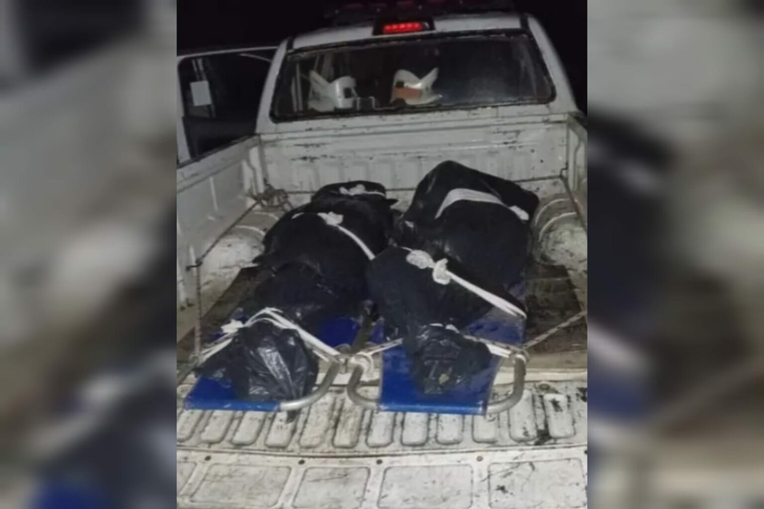 Casal é morto a golpes de motosserra no oeste do Pará