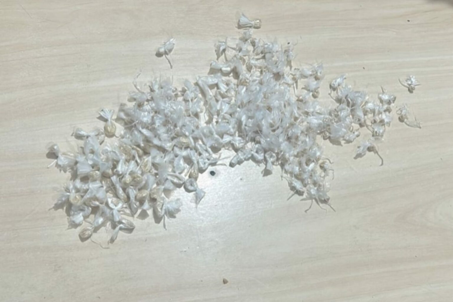 PM prende homem com mais de 200 porções de oxi no Pará