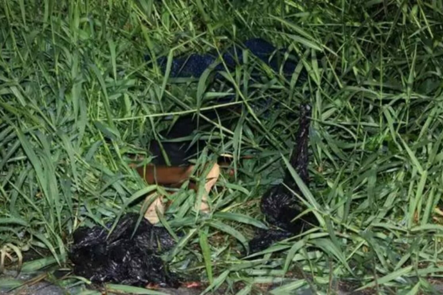 Corpo de homem é encontrado em matagal no Pará