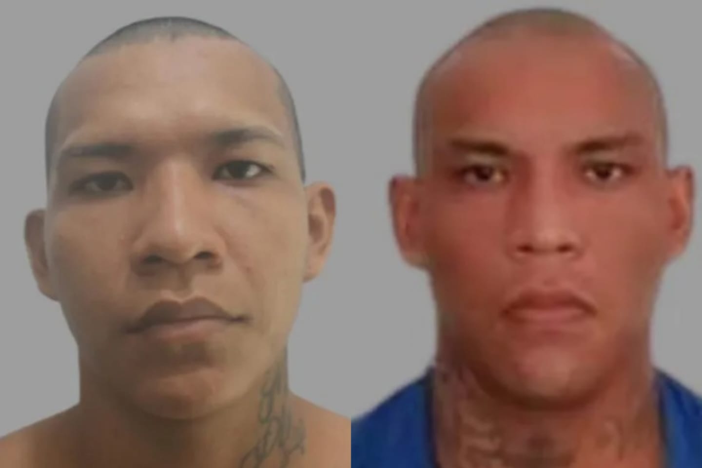 Irmãos reagem a intervenção policial e morrem em Santarém