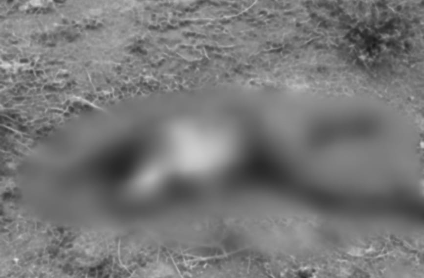 Homem é encontrado morto em fazenda de Parauapebas