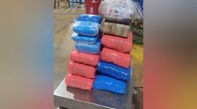 Cão farejador da PM localiza maconha e cocaína em embarcação no Pará