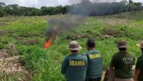 Prazo para desocupação de terras indígenas no Pará encerra hoje (31)