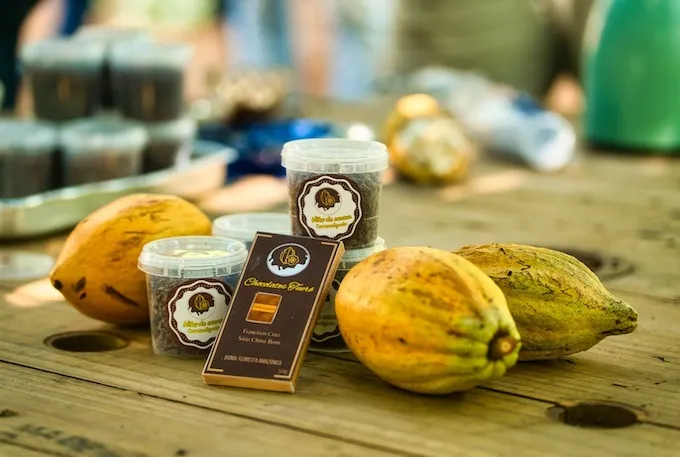 Pequenos agricultores produzem chocolate fino em Novo Repartimento