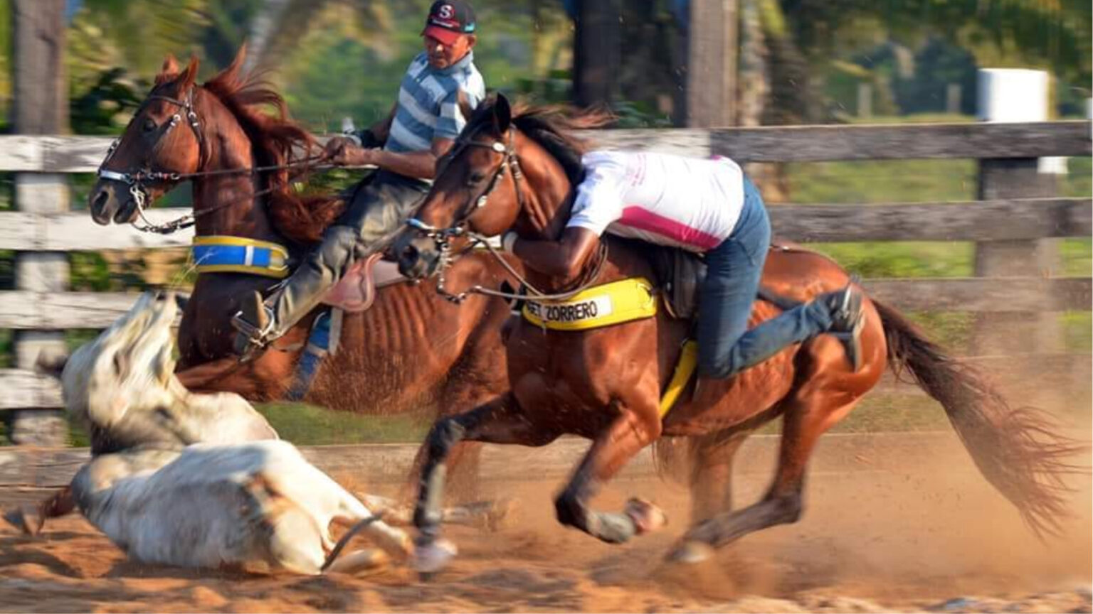 Cavalgada Rancho Lagasso acontece neste sábado (11), em Itupiranga