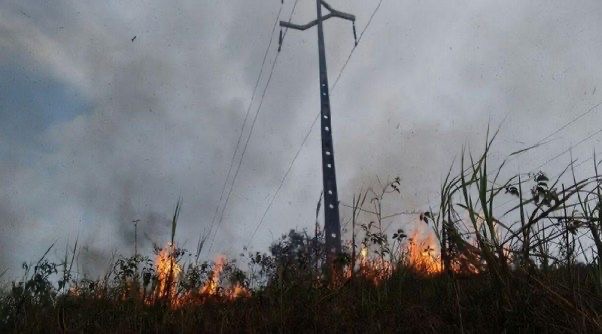 Equatorial Pará alerta para perigos na rede elétrica em período de queimadas