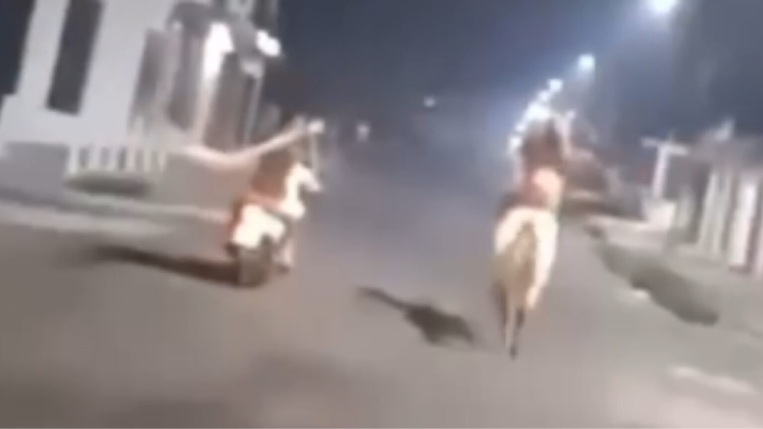 Vídeo: após roubo, homem foge a cavalo e é perseguido no Pará