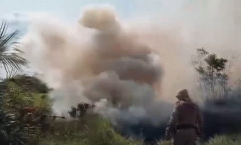 Queimada atinge área de mata no interior do Pará e assusta moradores