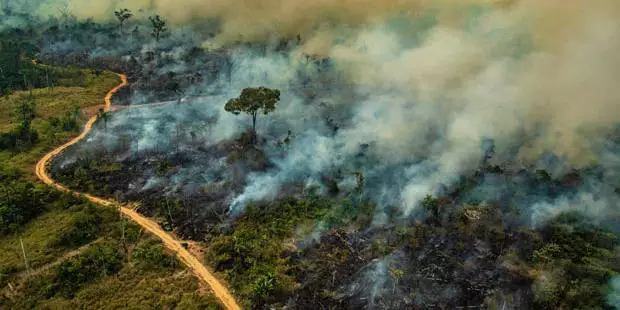 Pará registra maior número de queimadas no Brasil