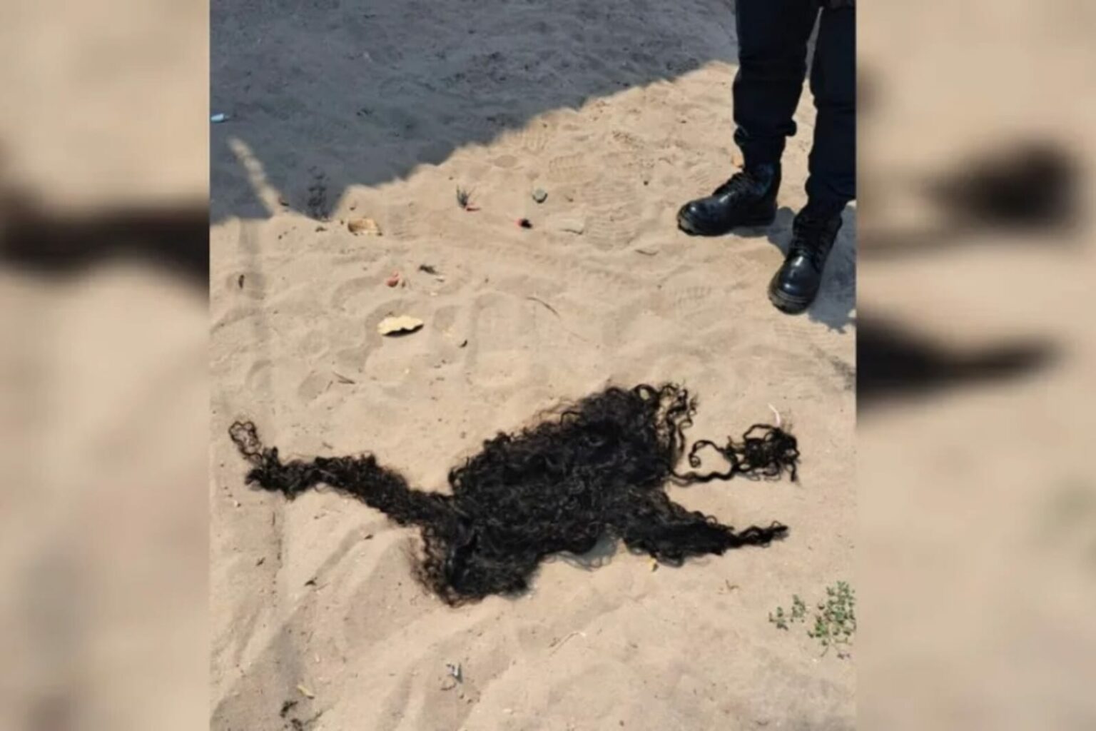 Mulher agride e corta cabelo de adolescente por ciúmes do marido no Pará